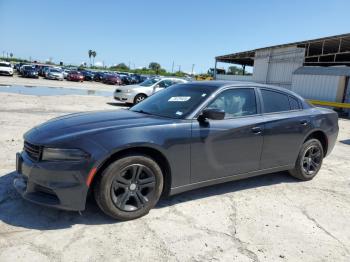  Salvage Dodge Charger