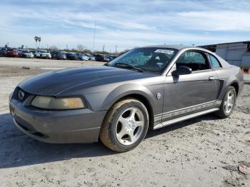  Salvage Ford Mustang