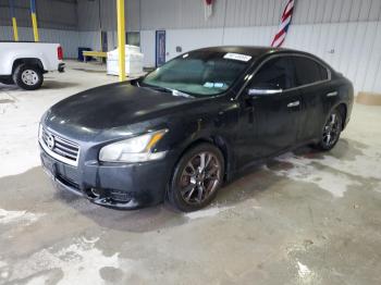  Salvage Nissan Maxima