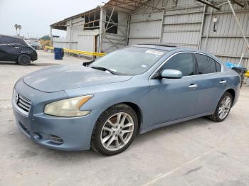  Salvage Nissan Maxima