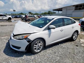  Salvage Ford Focus