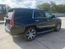 Cadillac Escalade Luxury Image 2