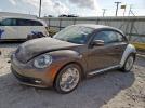 Volkswagen Beetle Image 1