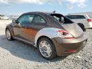 Volkswagen Beetle Image 2