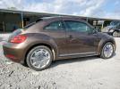 Volkswagen Beetle Image 10