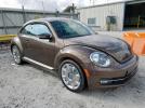 Volkswagen Beetle Image 6