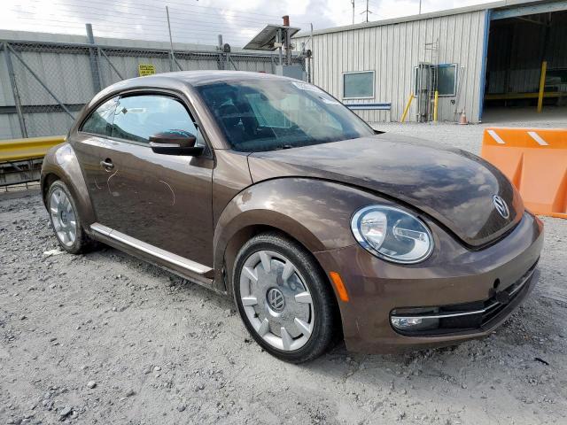 Volkswagen Beetle Image 6