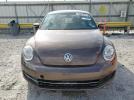 Volkswagen Beetle Image 12