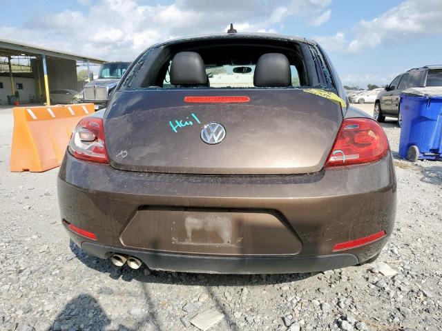 Volkswagen Beetle Image 7