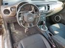 Volkswagen Beetle Image 11