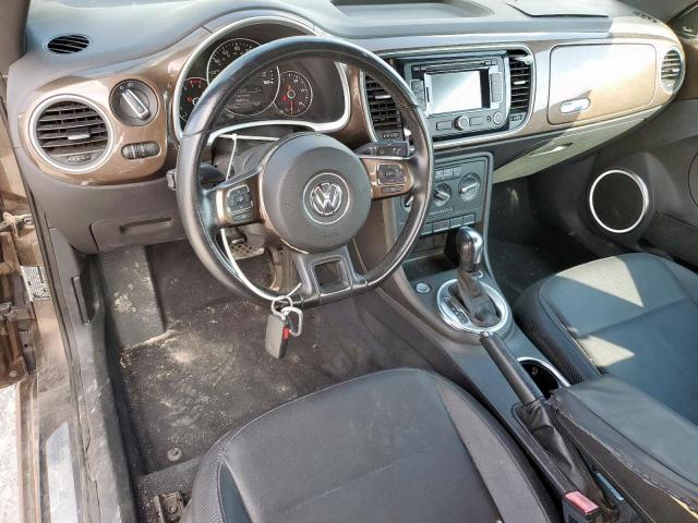 Volkswagen Beetle Image 11