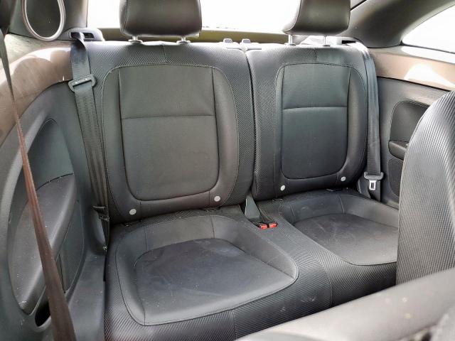 Volkswagen Beetle Image 8