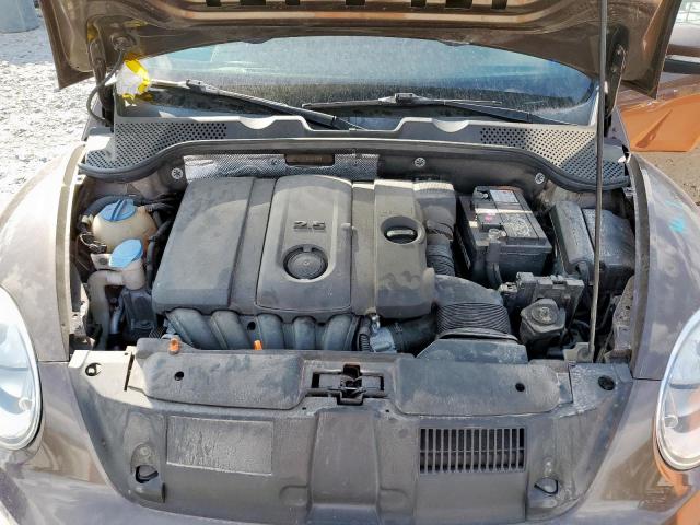 Volkswagen Beetle Image 5