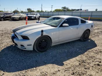  Salvage Ford Mustang