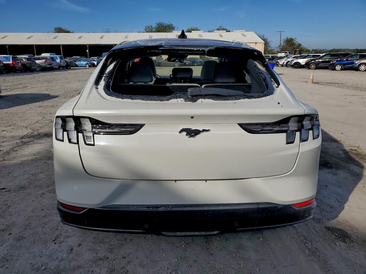 Ford Mustang Premium Image 7