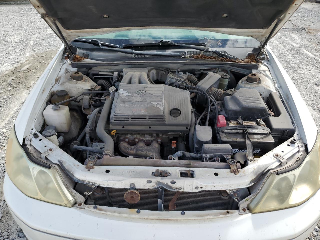 Toyota Avalon Xl Image 9