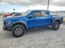 Ford F-150 Raptor Image 1