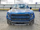 Ford F-150 Raptor Image 8
