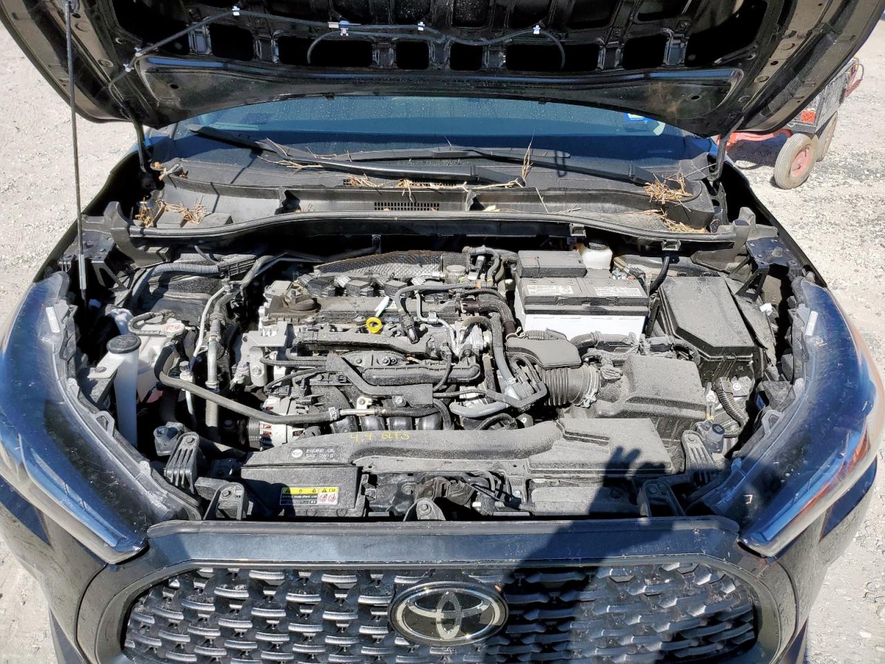 Toyota Corolla Le Image 7