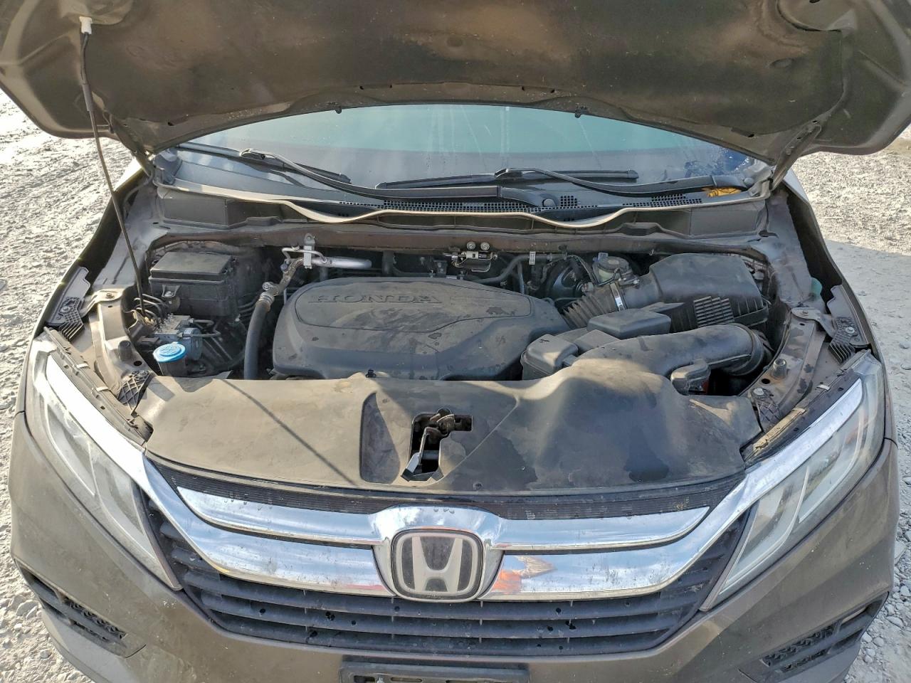 Honda Odyssey Exl Image 7